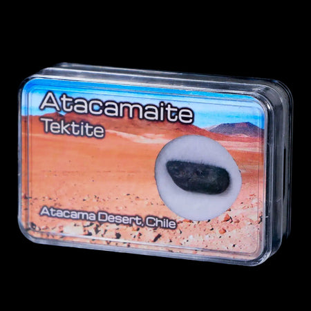 Atacamaite Tektite Impact Wabar Glass Atacama Desert Chile Meteorite Display