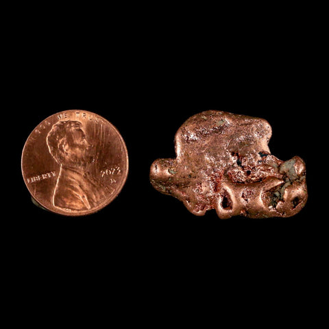1.1" Solid Native Copper Polished Nugget Mineral Keweenaw Michigan - Fossil Age Minerals