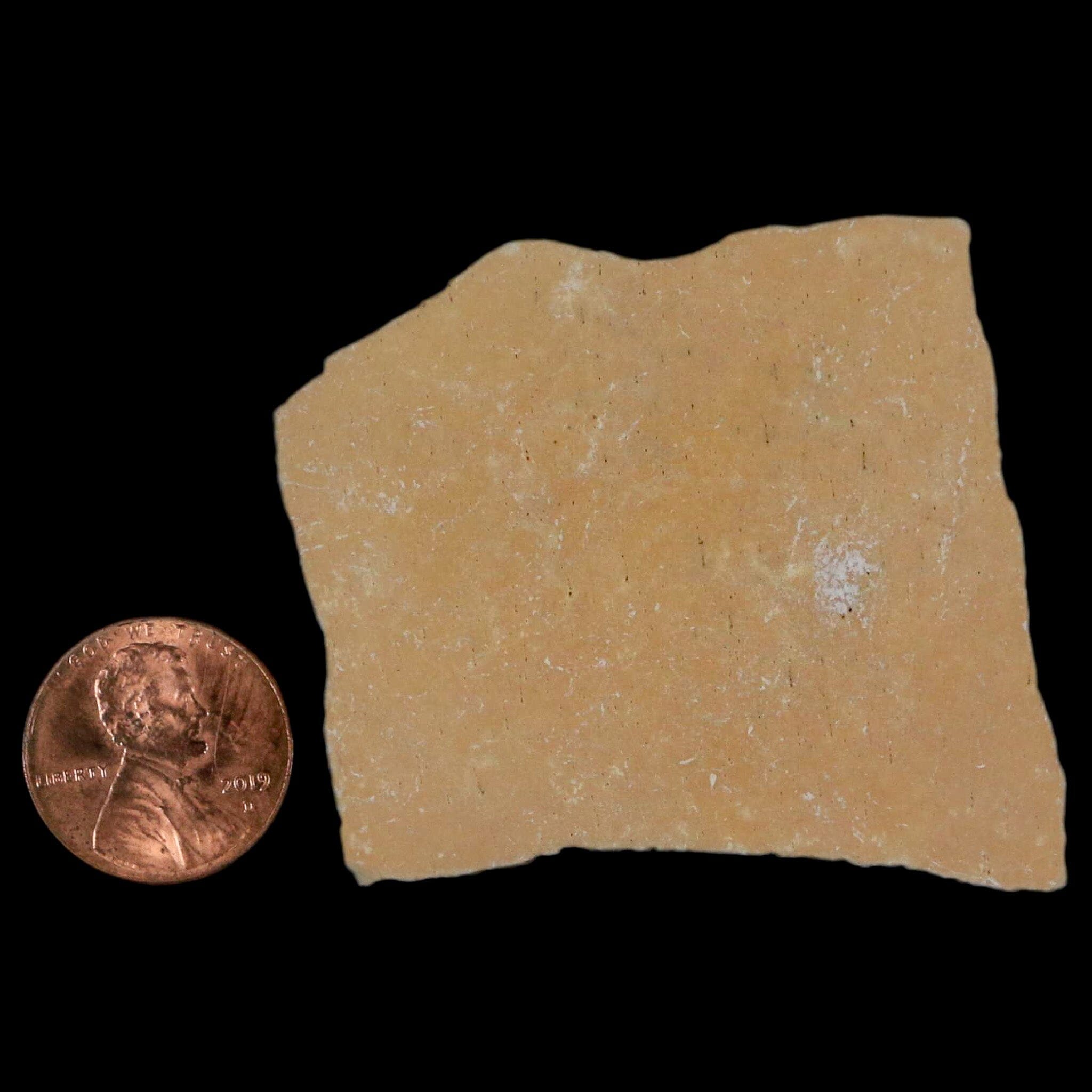 2.1" Elephant Bird Aepyornis Maximus Egg Shell Specimen Late Pleistocene Madagascar - Fossil Age Minerals