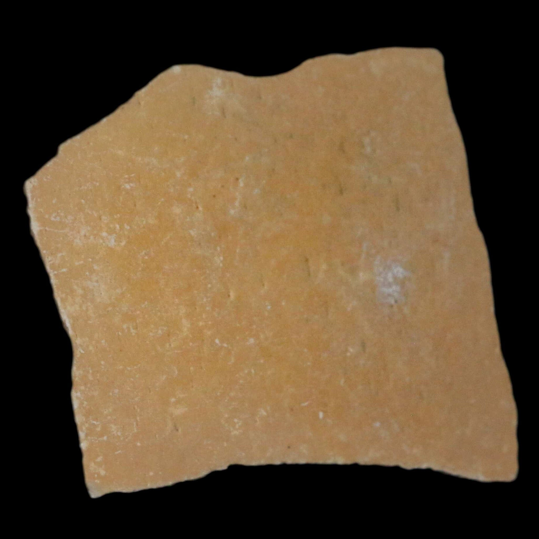 2.1" Elephant Bird Aepyornis Maximus Egg Shell Specimen Late Pleistocene Madagascar - Fossil Age Minerals