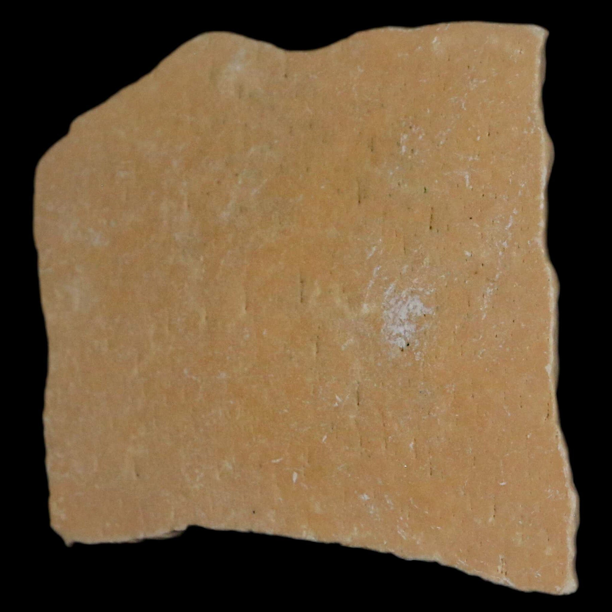 2.1" Elephant Bird Aepyornis Maximus Egg Shell Specimen Late Pleistocene Madagascar - Fossil Age Minerals