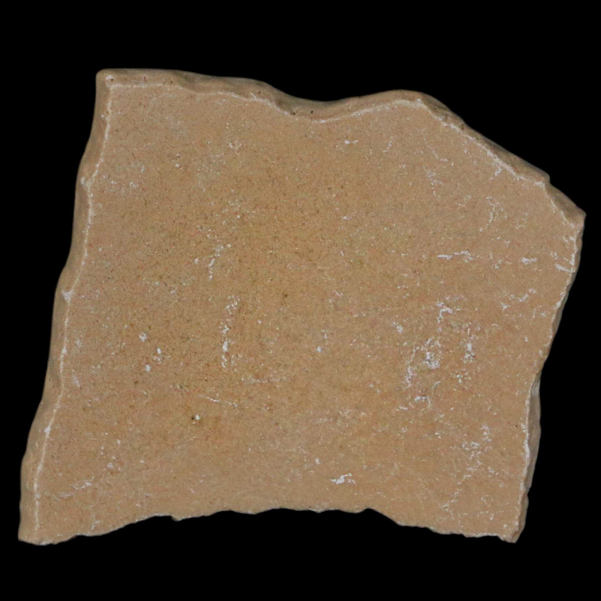 2.1" Elephant Bird Aepyornis Maximus Egg Shell Specimen Late Pleistocene Madagascar - Fossil Age Minerals