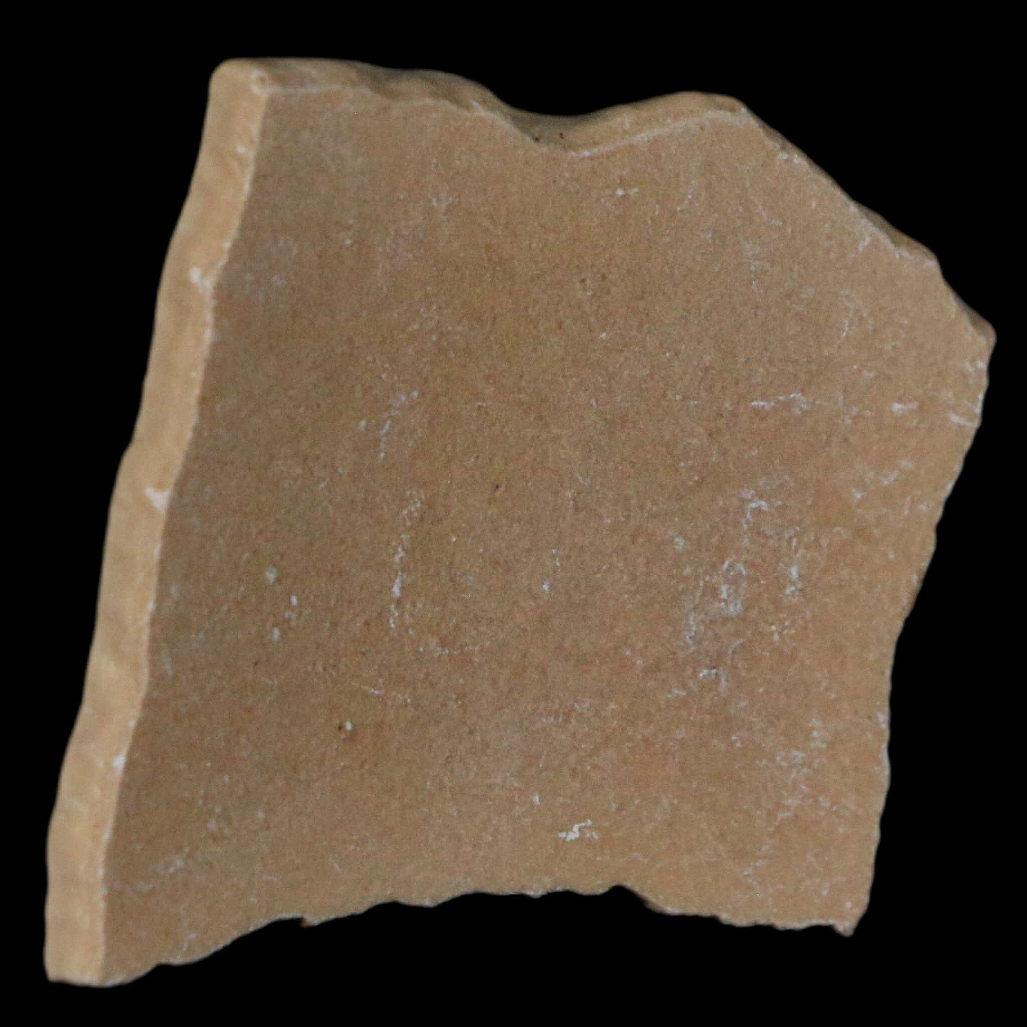 2.1" Elephant Bird Aepyornis Maximus Egg Shell Specimen Late Pleistocene Madagascar - Fossil Age Minerals