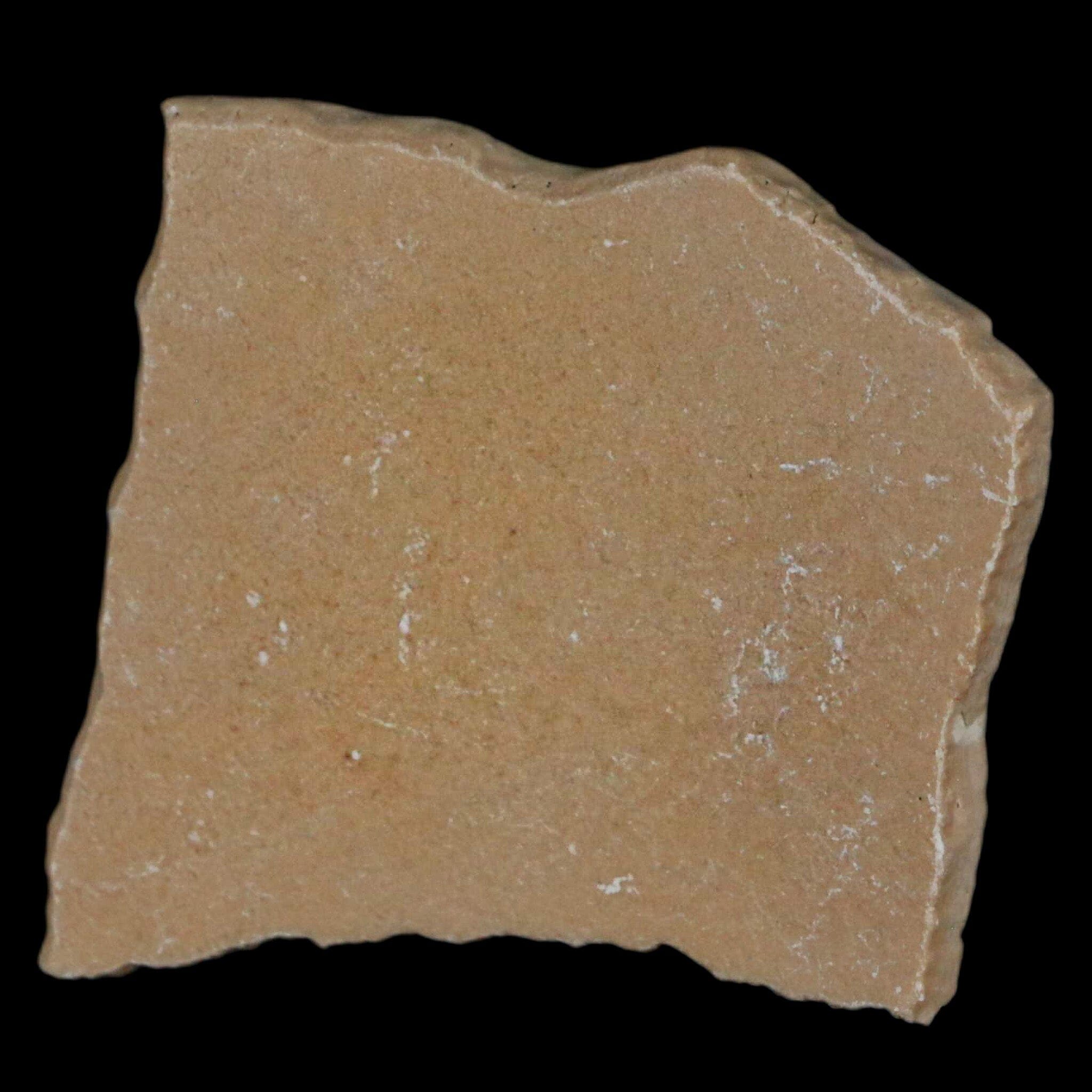 2.1" Elephant Bird Aepyornis Maximus Egg Shell Specimen Late Pleistocene Madagascar - Fossil Age Minerals