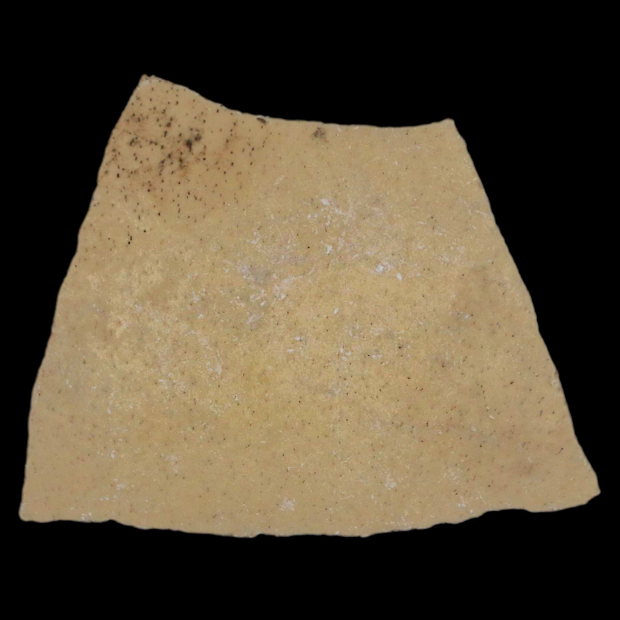 2.6" Elephant Bird Aepyornis Maximus Egg Shell Specimen Late Pleistocene Madagascar - Fossil Age Minerals