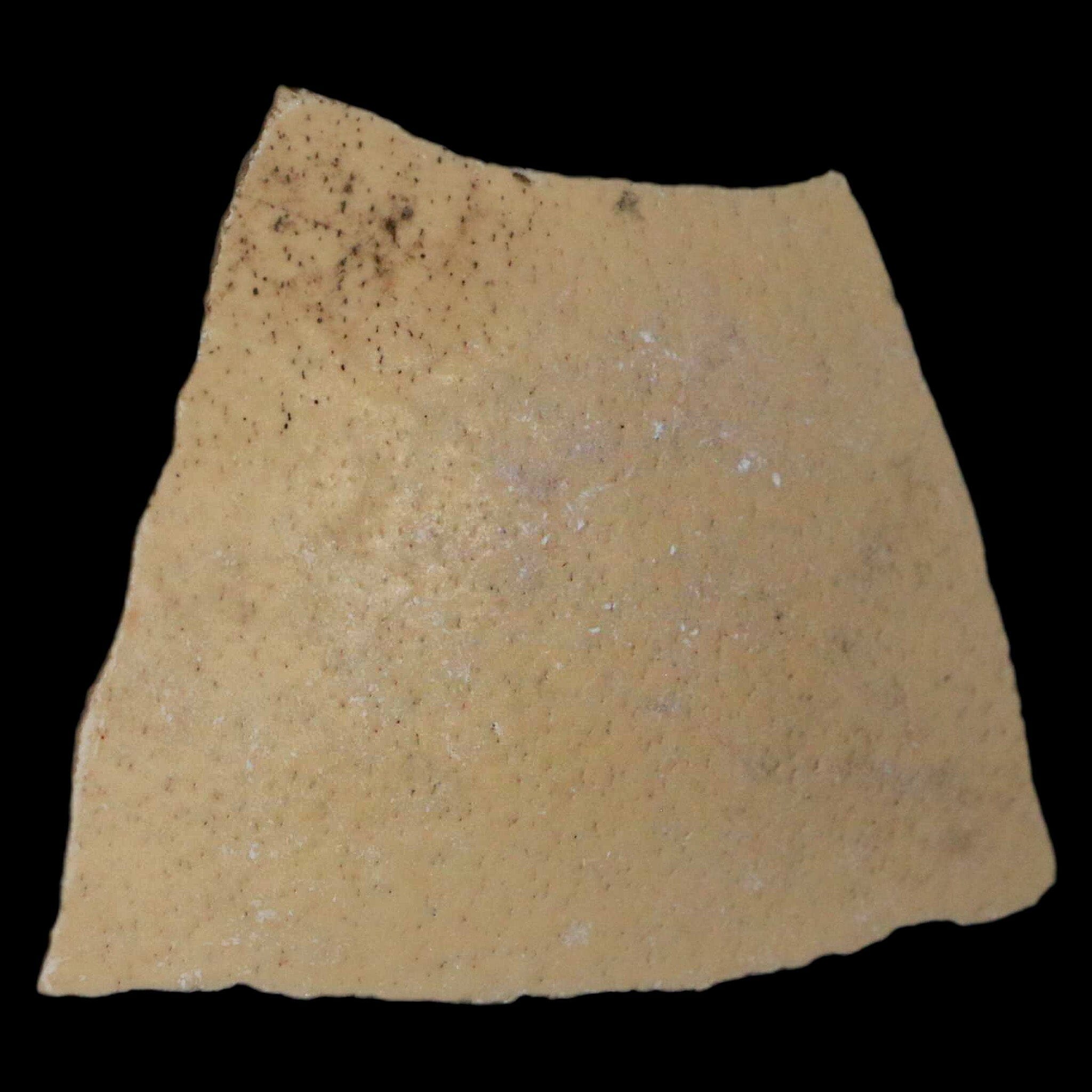 2.6" Elephant Bird Aepyornis Maximus Egg Shell Specimen Late Pleistocene Madagascar - Fossil Age Minerals