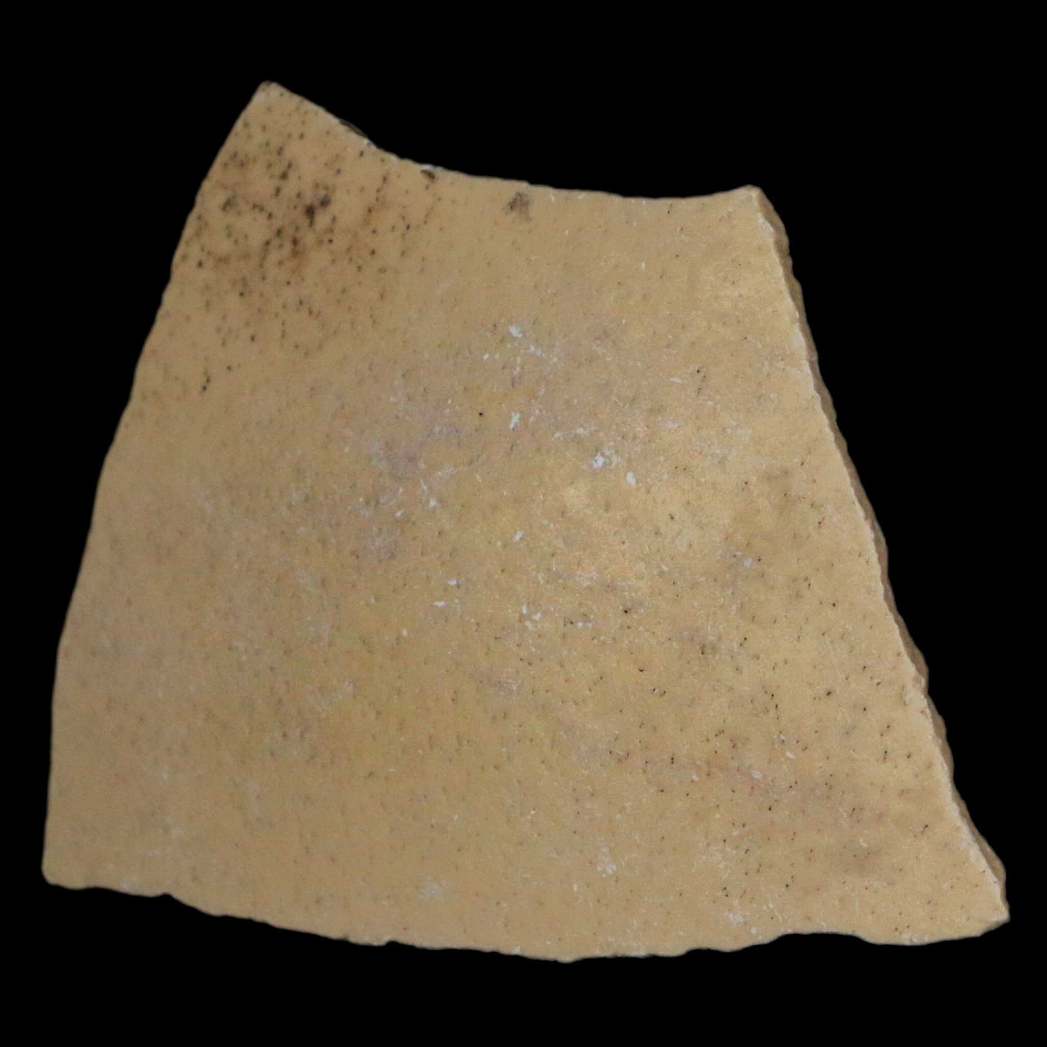 2.6" Elephant Bird Aepyornis Maximus Egg Shell Specimen Late Pleistocene Madagascar - Fossil Age Minerals