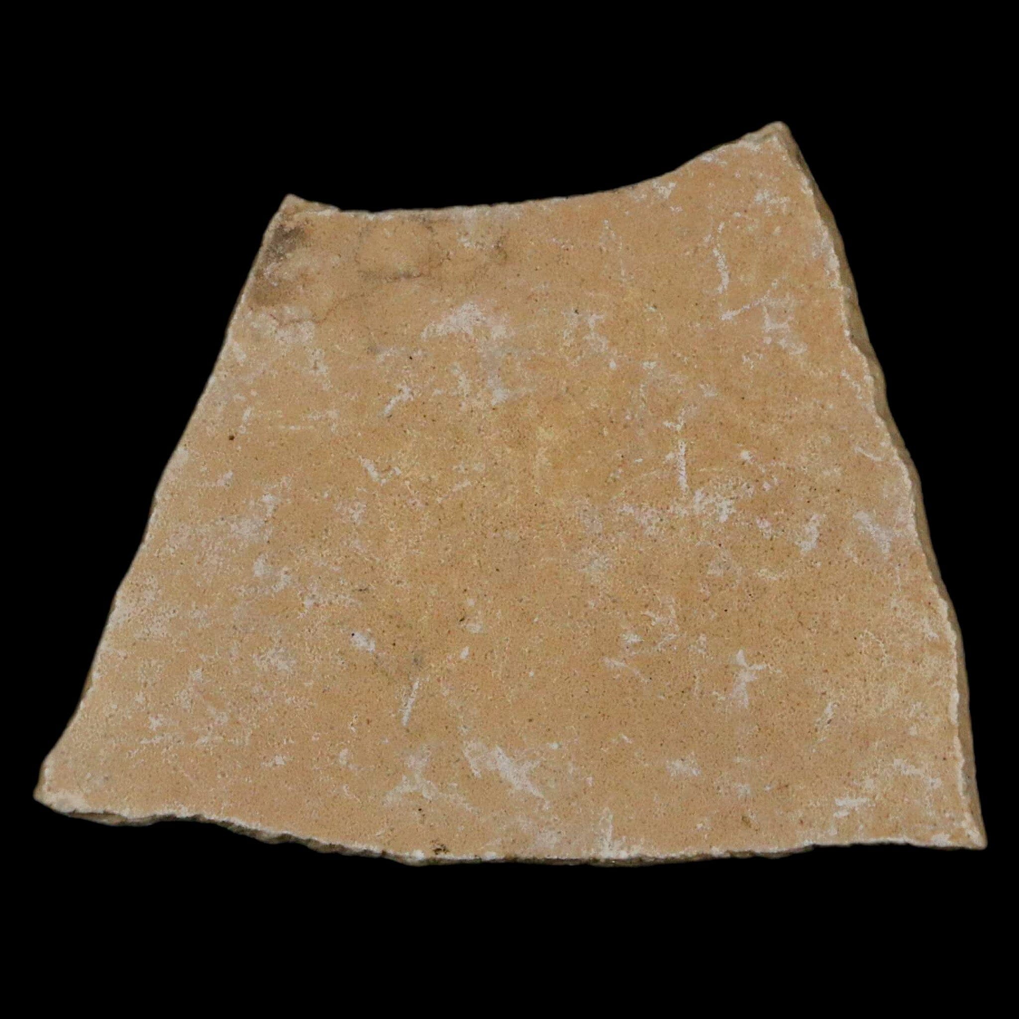 2.6" Elephant Bird Aepyornis Maximus Egg Shell Specimen Late Pleistocene Madagascar - Fossil Age Minerals