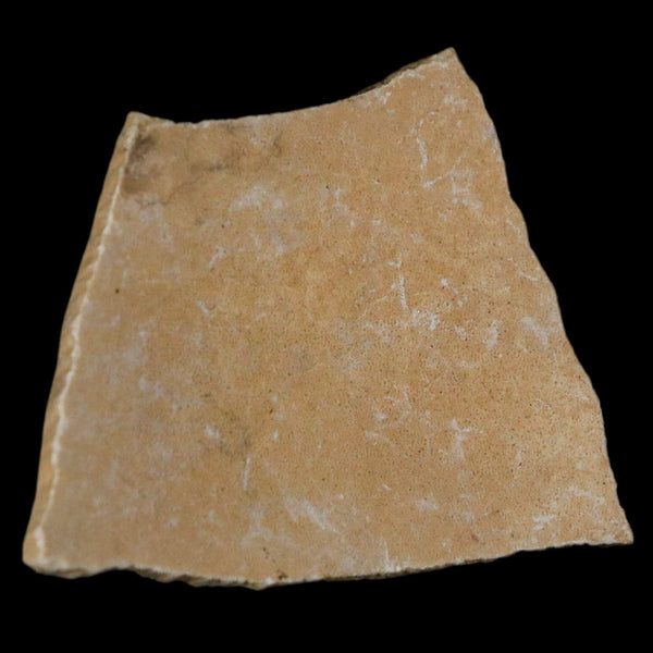 2.6