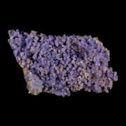 4.7" Purple Grape Agate Botryoidal Crystal Druzy Cluster Mineral Sulawesi Island