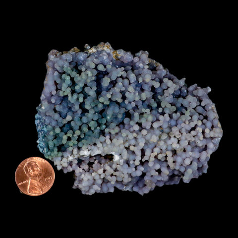 3.5" Purple Grape Agate Botryoidal Crystal Druzy Cluster Mineral Sulawesi Island - Fossil Age Minerals