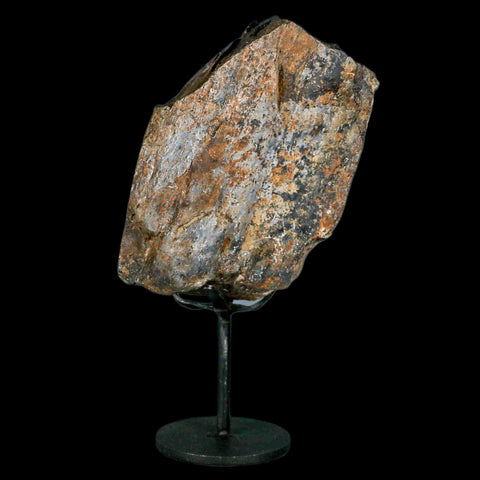 4" Camarasaurus Dinosaur Fossil Limb Bone Morrison FM CO Jurassic Age COA Stand - Fossil Age Minerals