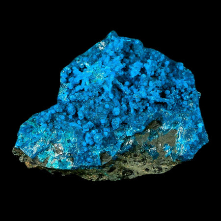 2.3" Chrysocolla Malachite Rare Botryoidal Grape Crystal Teal And Green From Peru
