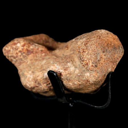 Fossil and rock sales store near me