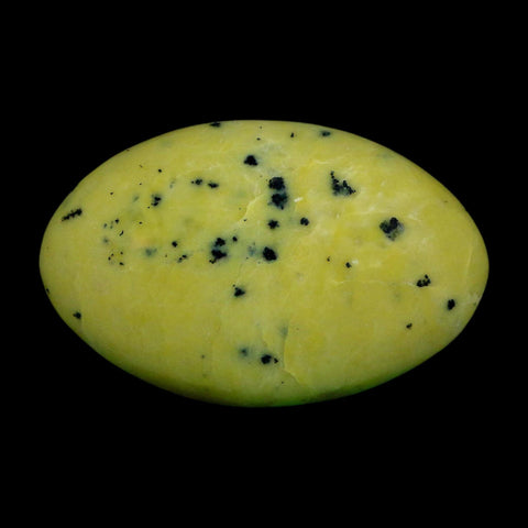 2.8" Natural Polished Serpentine Green And Yellow Palm Stone Mineral Gemstone Pakistan