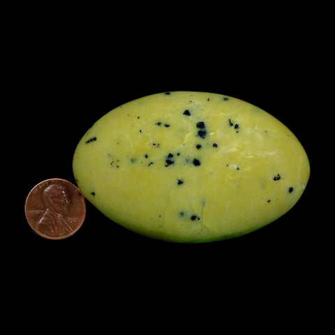 2.8" Natural Polished Serpentine Green And Yellow Palm Stone Mineral Gemstone Pakistan