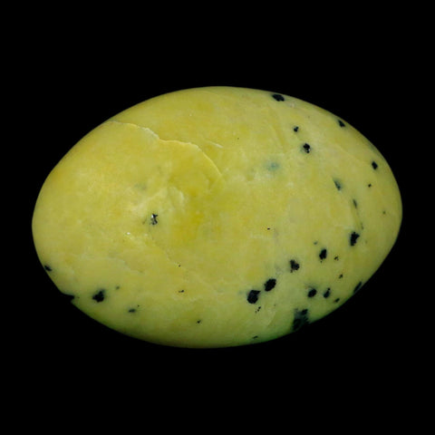 2.8" Natural Polished Serpentine Green And Yellow Palm Stone Mineral Gemstone Pakistan