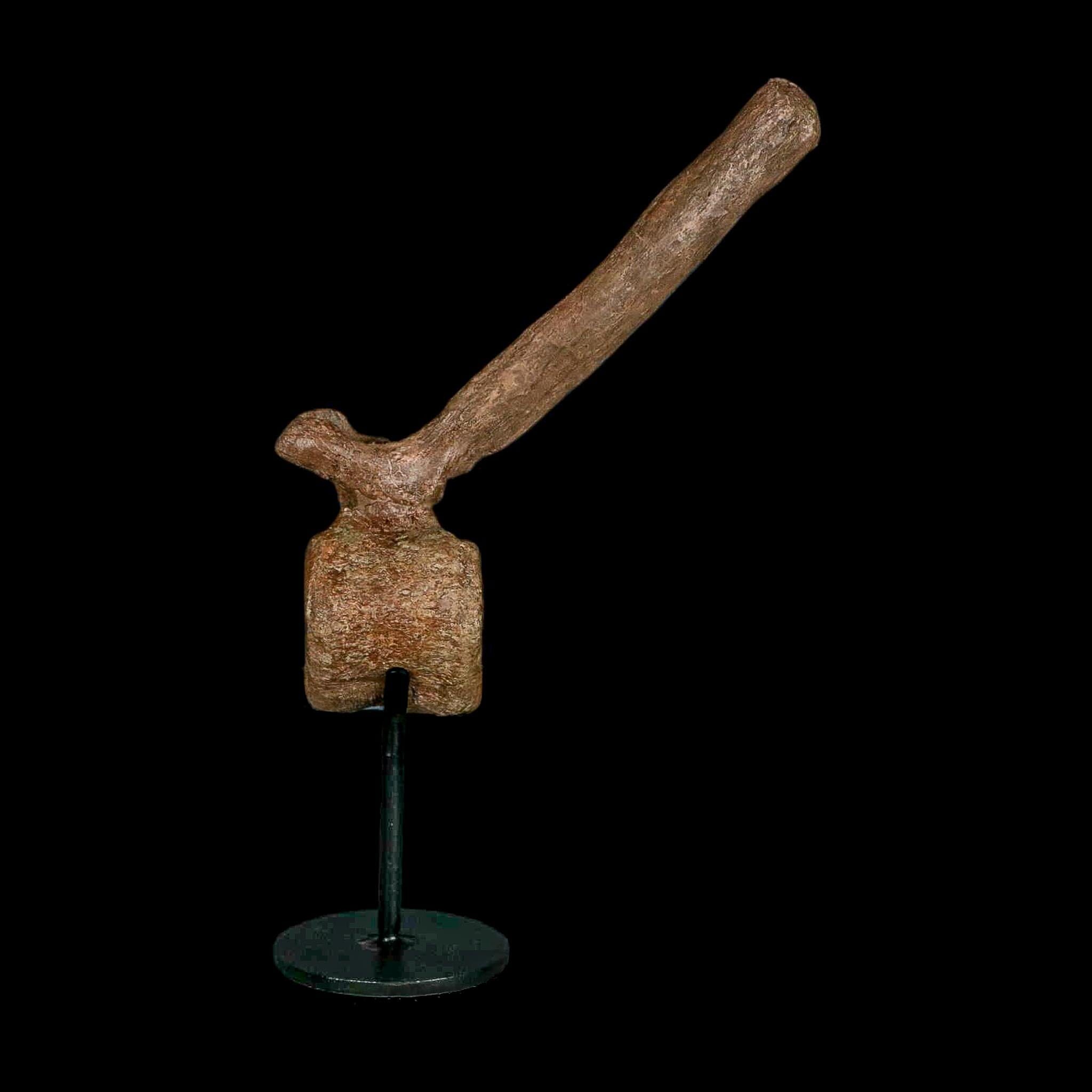 6.6" Edmontosaurus Fossil Vertebrae Hell Creek FM Cretaceous Dinosaur MT COA Stand - Fossil Age Minerals