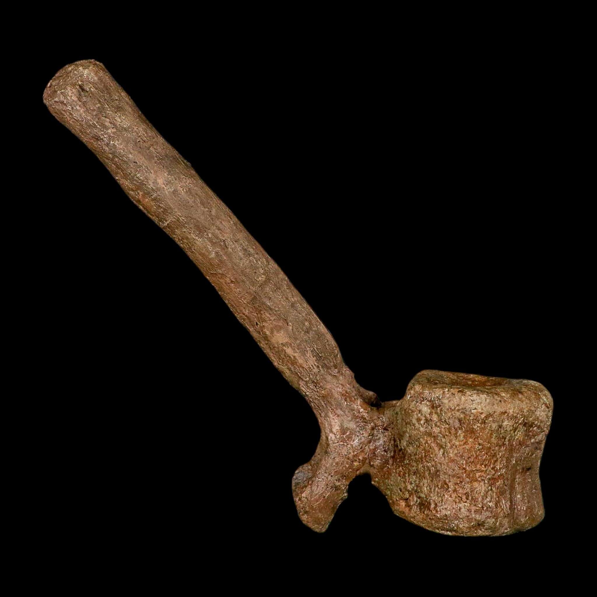 6.6" Edmontosaurus Fossil Vertebrae Hell Creek FM Cretaceous Dinosaur MT COA Stand - Fossil Age Minerals