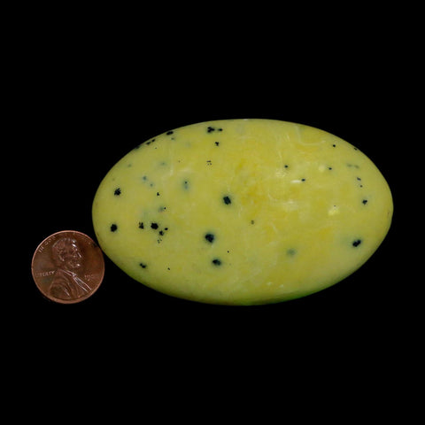 3" Natural Polished Serpentine Green And Yellow Palm Stone Mineral Gemstone Pakistan