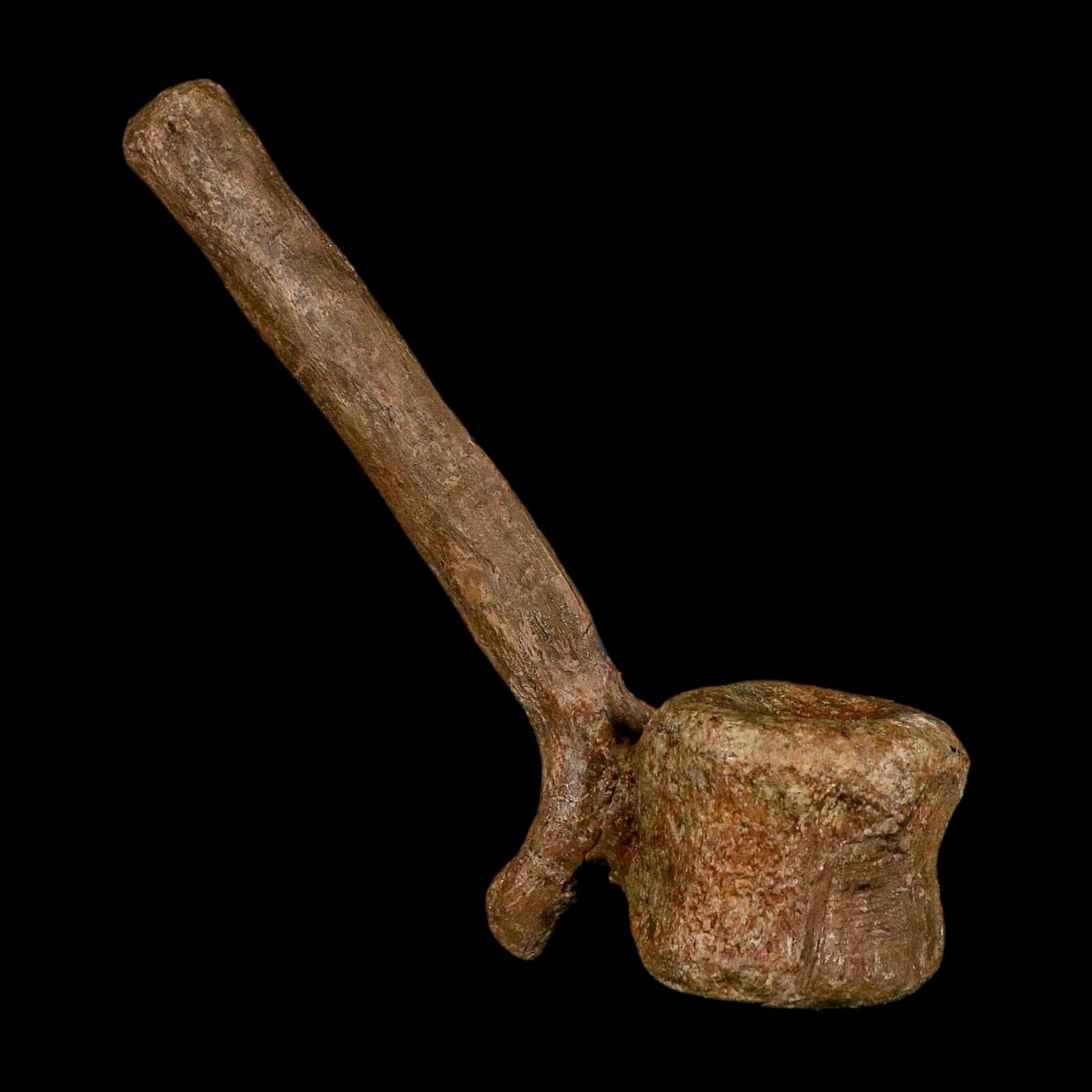 6.6" Edmontosaurus Fossil Vertebrae Hell Creek FM Cretaceous Dinosaur MT COA Stand - Fossil Age Minerals