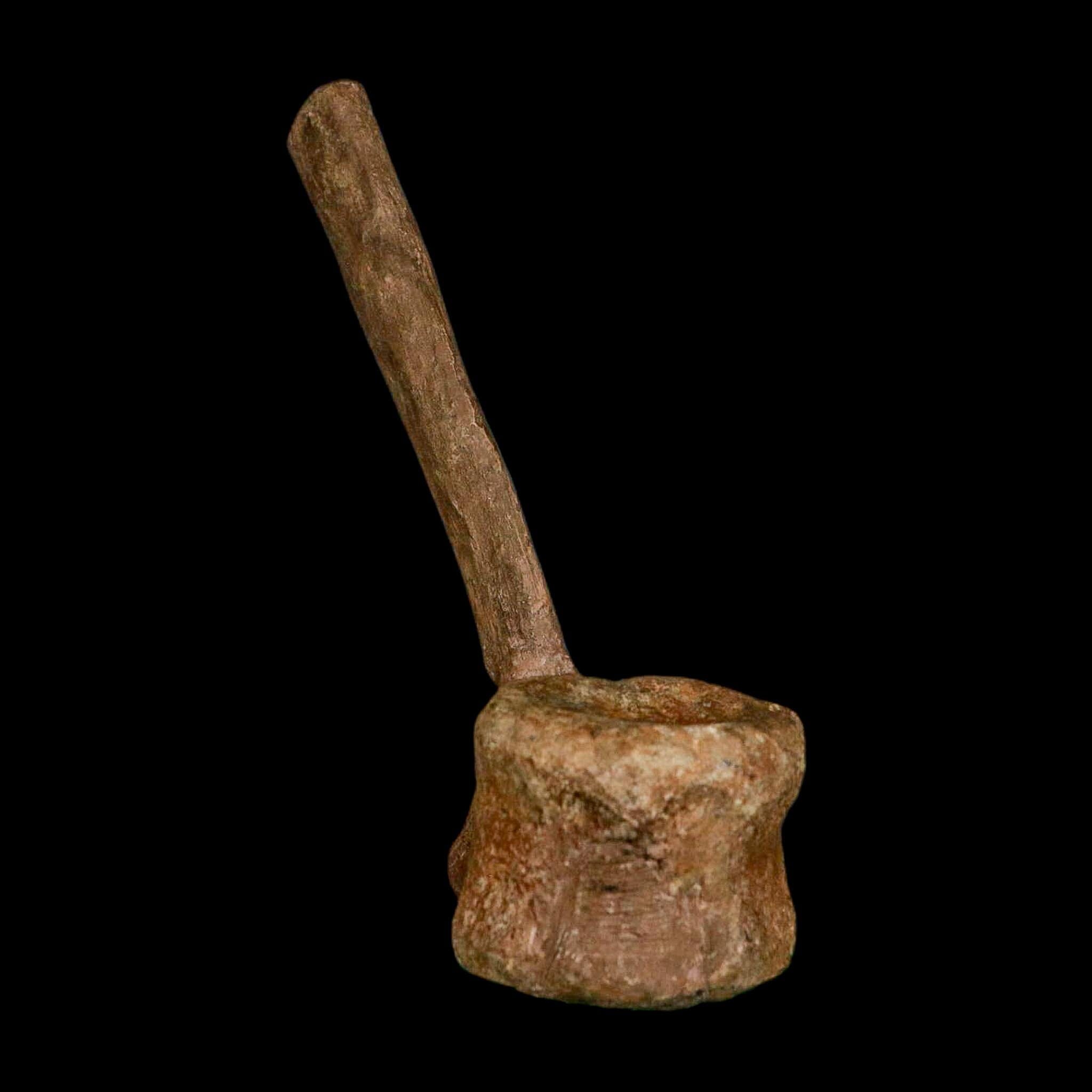 6.6" Edmontosaurus Fossil Vertebrae Hell Creek FM Cretaceous Dinosaur MT COA Stand - Fossil Age Minerals