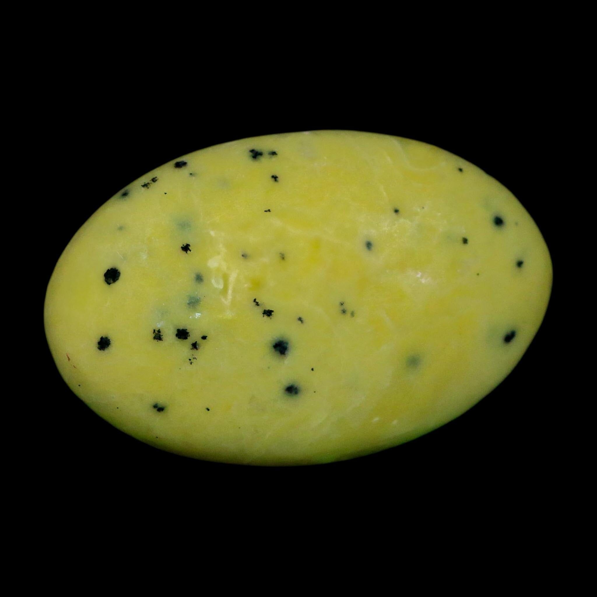 3" Natural Polished Serpentine Green And Yellow Palm Stone Mineral Gemstone Pakistan - Fossil Age Minerals