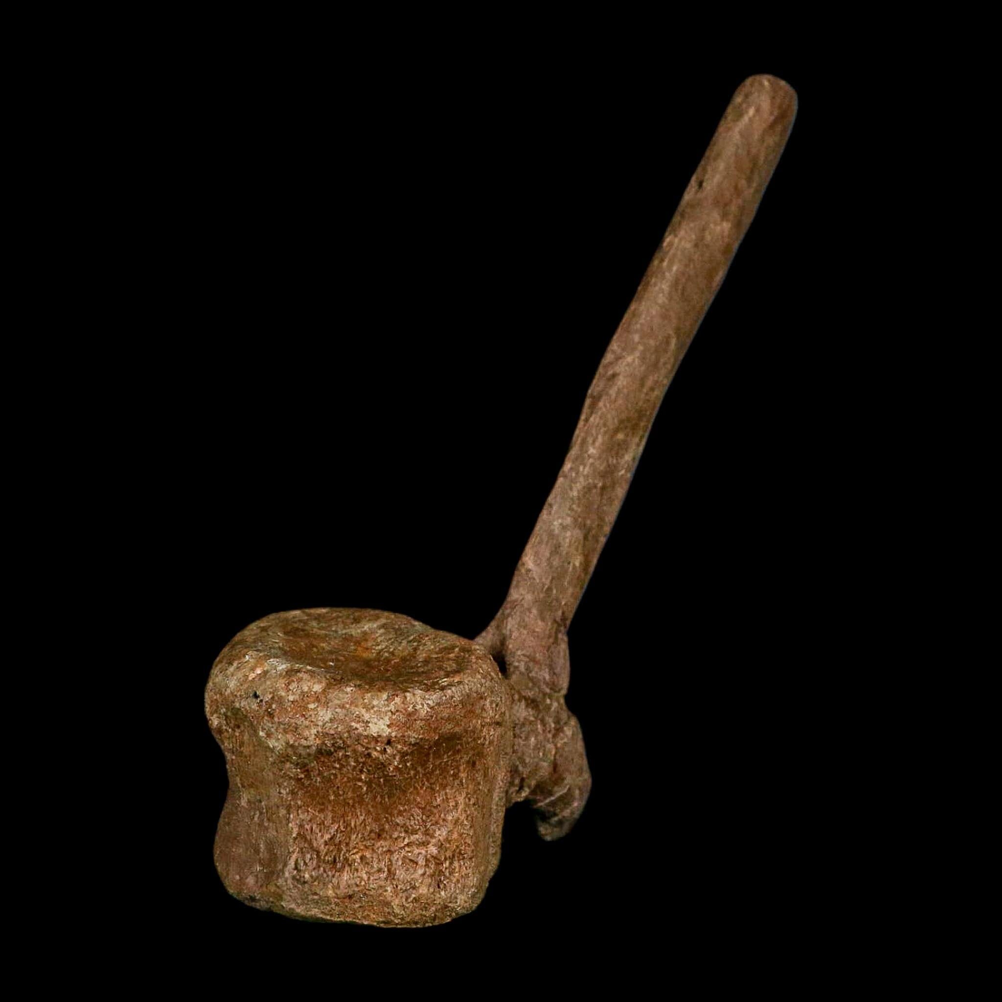 6.6" Edmontosaurus Fossil Vertebrae Hell Creek FM Cretaceous Dinosaur MT COA Stand - Fossil Age Minerals