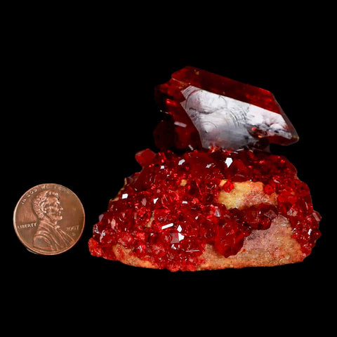 2.3" Stunning Red Pruskite Yellow Base Crystal Mineral Specimen From Poland - Fossil Age Minerals