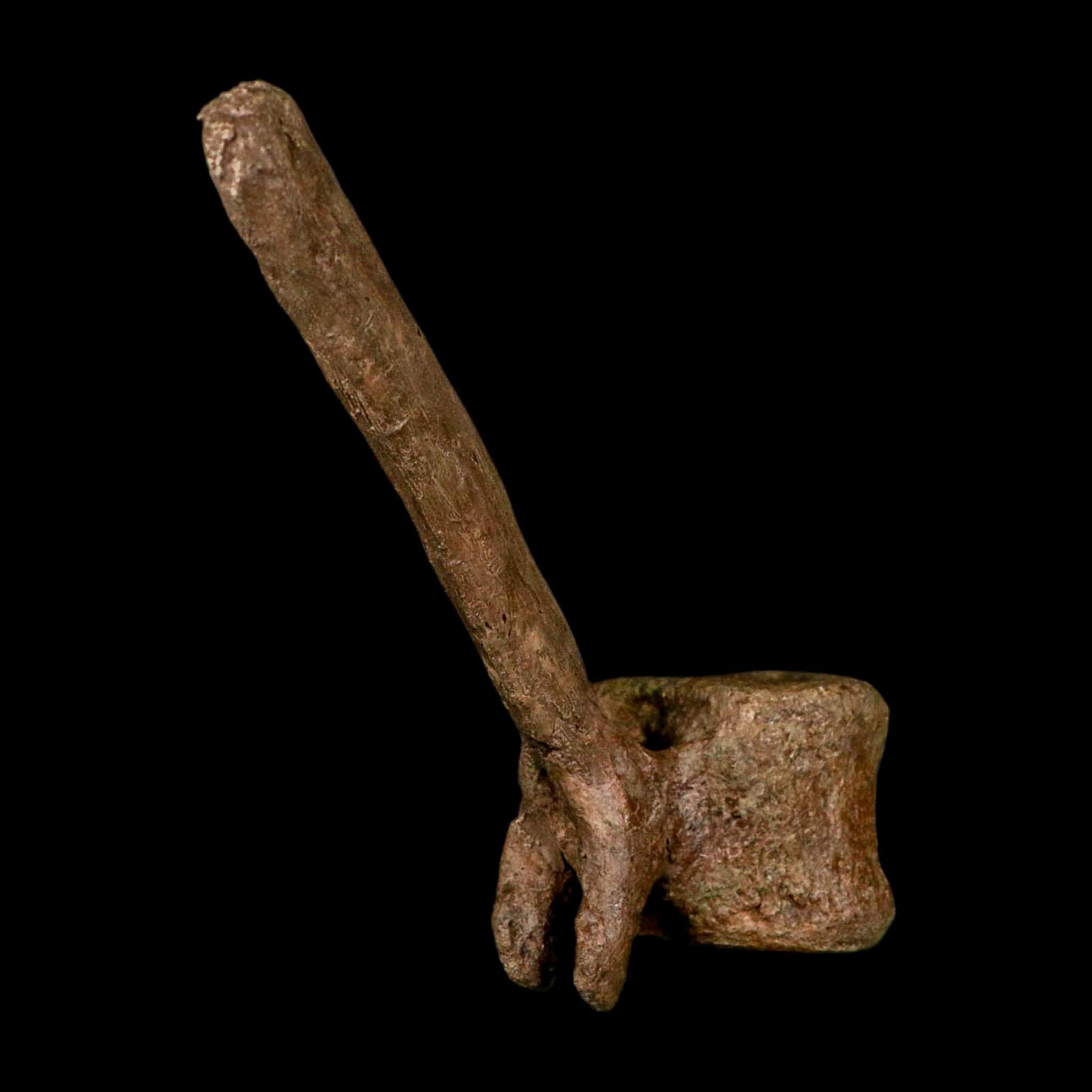 6.6" Edmontosaurus Fossil Vertebrae Hell Creek FM Cretaceous Dinosaur MT COA Stand - Fossil Age Minerals