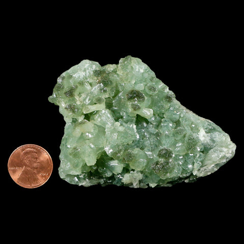 3.1" Rough Green Prehnite Crystal Mineral Specimen Location Imilchil, Morocco - Fossil Age Minerals