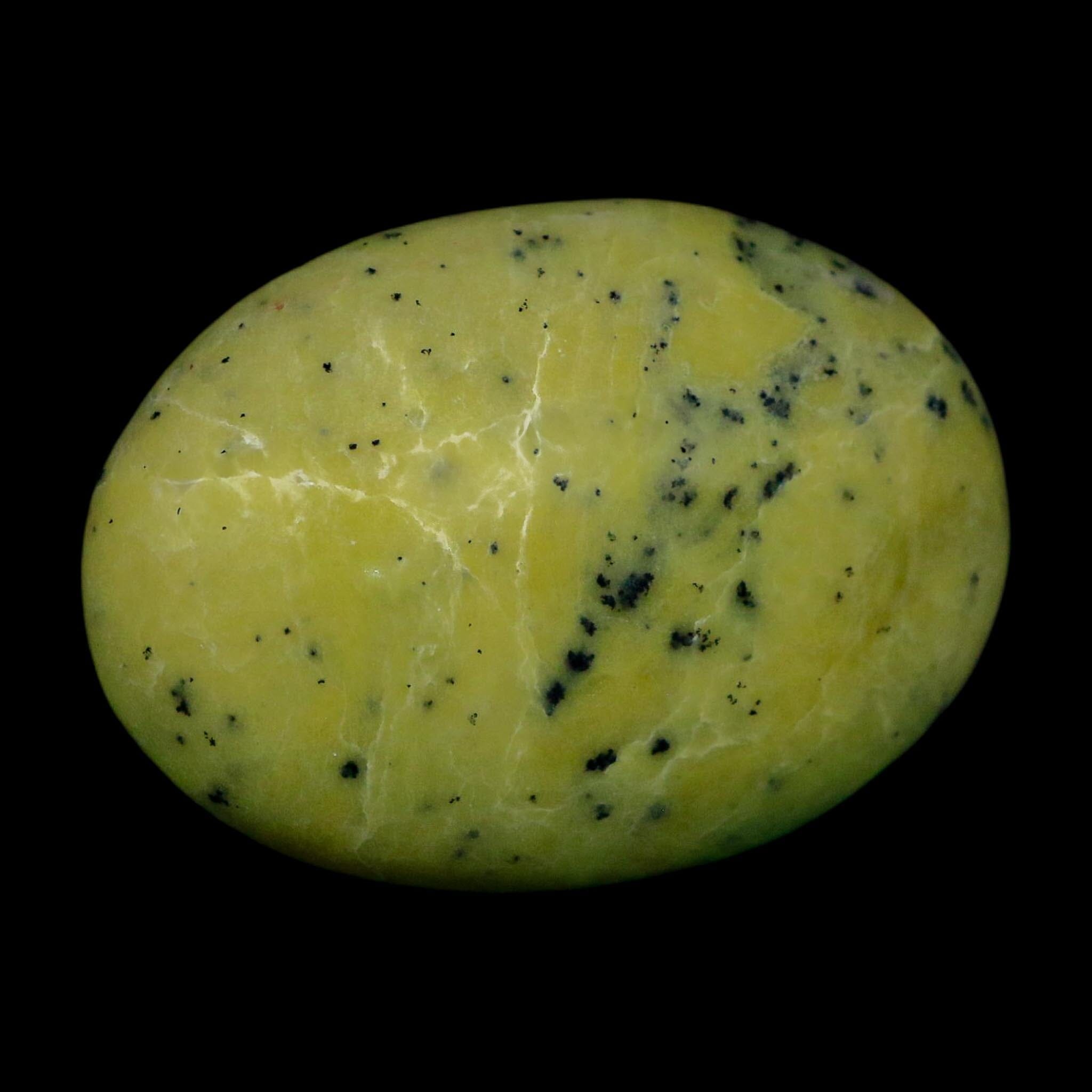 2.4" Natural Polished Serpentine Green And Yellow Palm Stone Mineral Gemstone Pakistan - Fossil Age Minerals