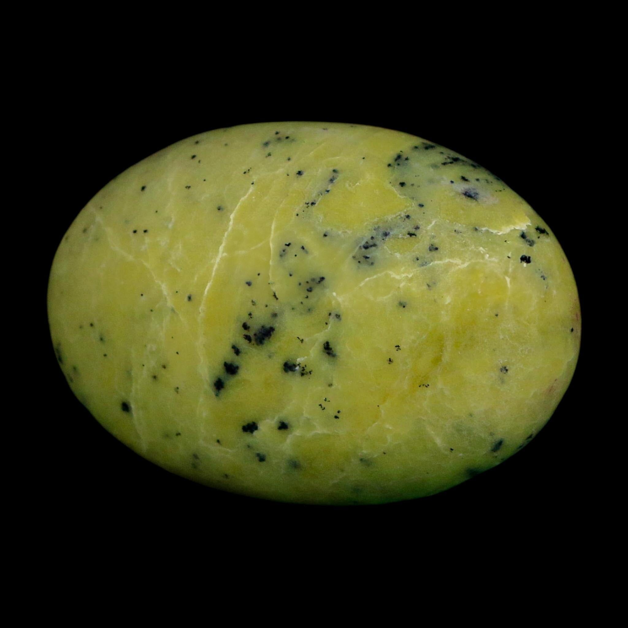2.4" Natural Polished Serpentine Green And Yellow Palm Stone Mineral Gemstone Pakistan - Fossil Age Minerals