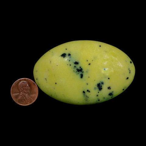 2.7" Natural Polished Serpentine Green And Yellow Palm Stone Mineral Gemstone Pakistan