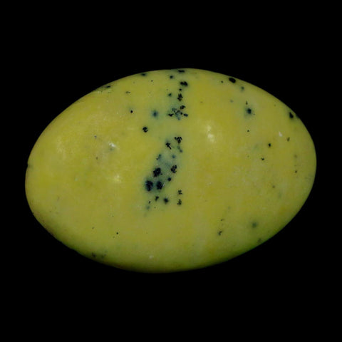 2.7" Natural Polished Serpentine Green And Yellow Palm Stone Mineral Gemstone Pakistan