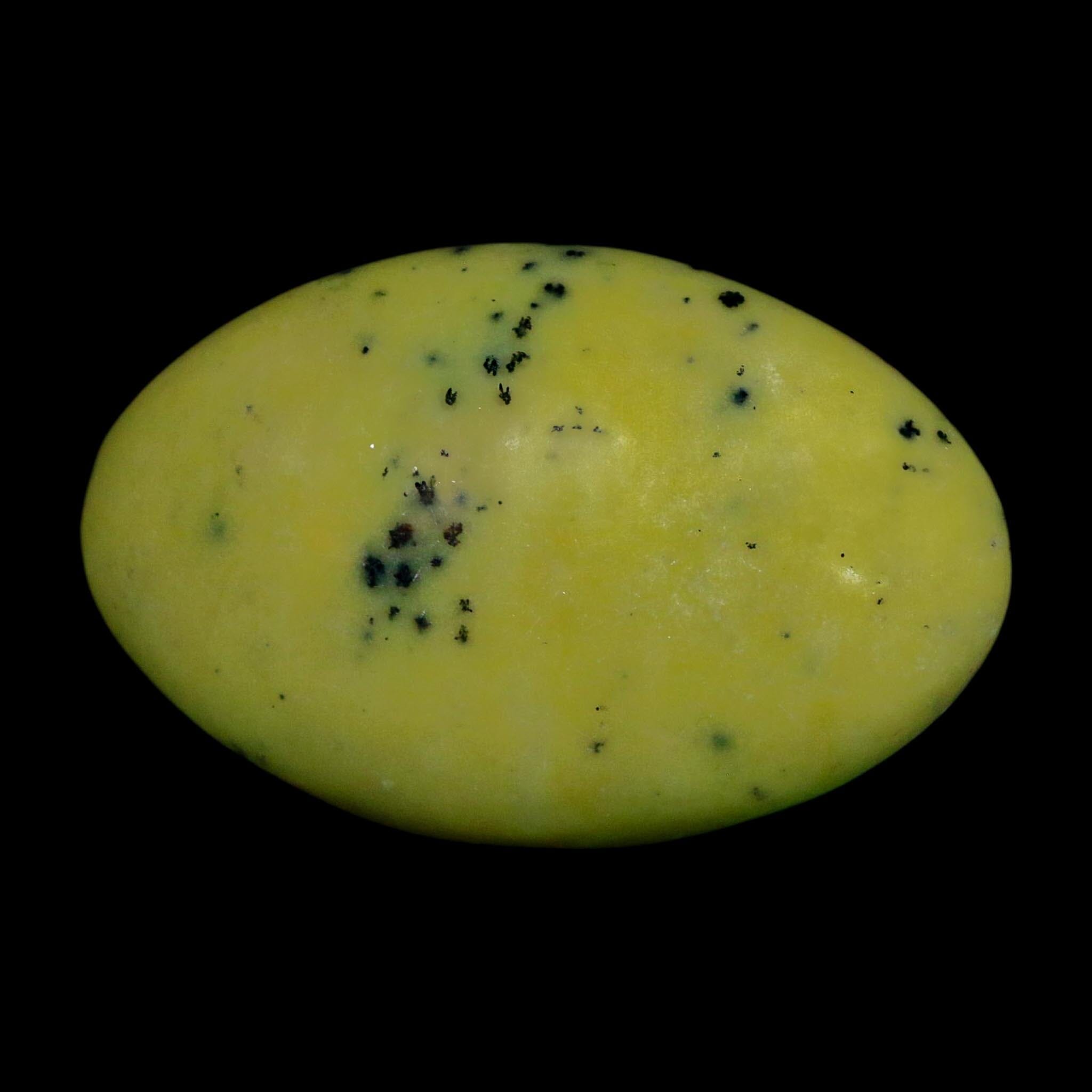 2.7" Natural Polished Serpentine Green And Yellow Palm Stone Mineral Gemstone Pakistan - Fossil Age Minerals