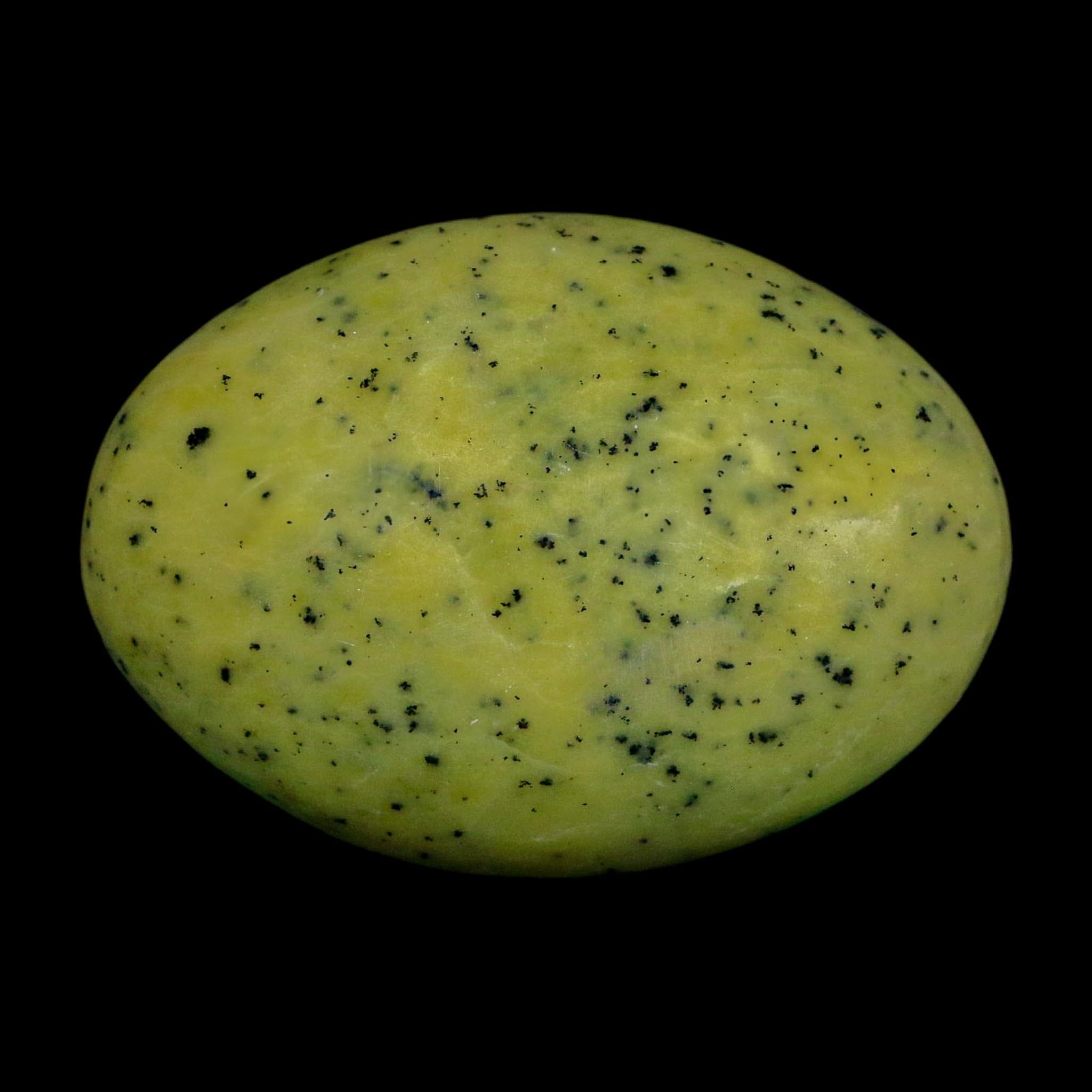 2.7" Natural Polished Serpentine Green And Yellow Palm Stone Mineral Gemstone Pakistan - Fossil Age Minerals