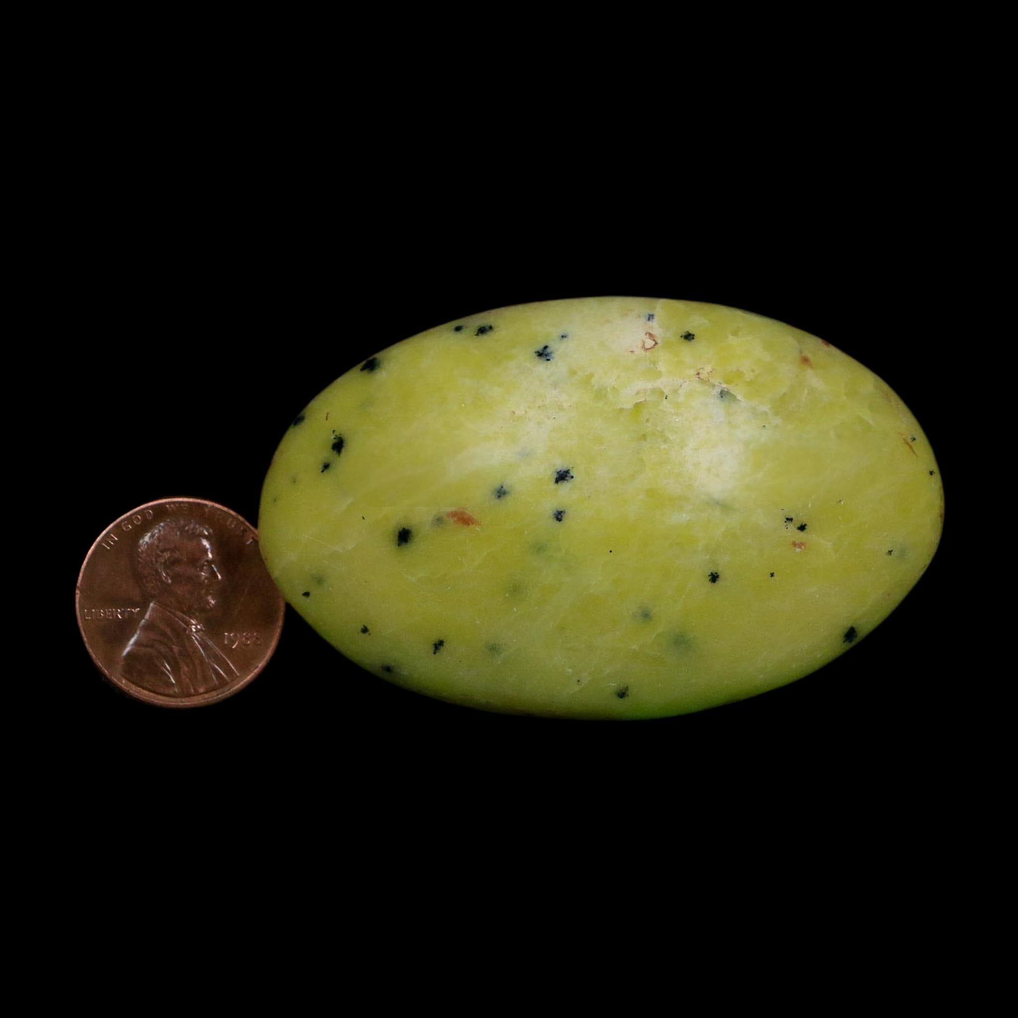2.4" Natural Polished Serpentine Green And Yellow Palm Stone Mineral Gemstone Pakistan - Fossil Age Minerals