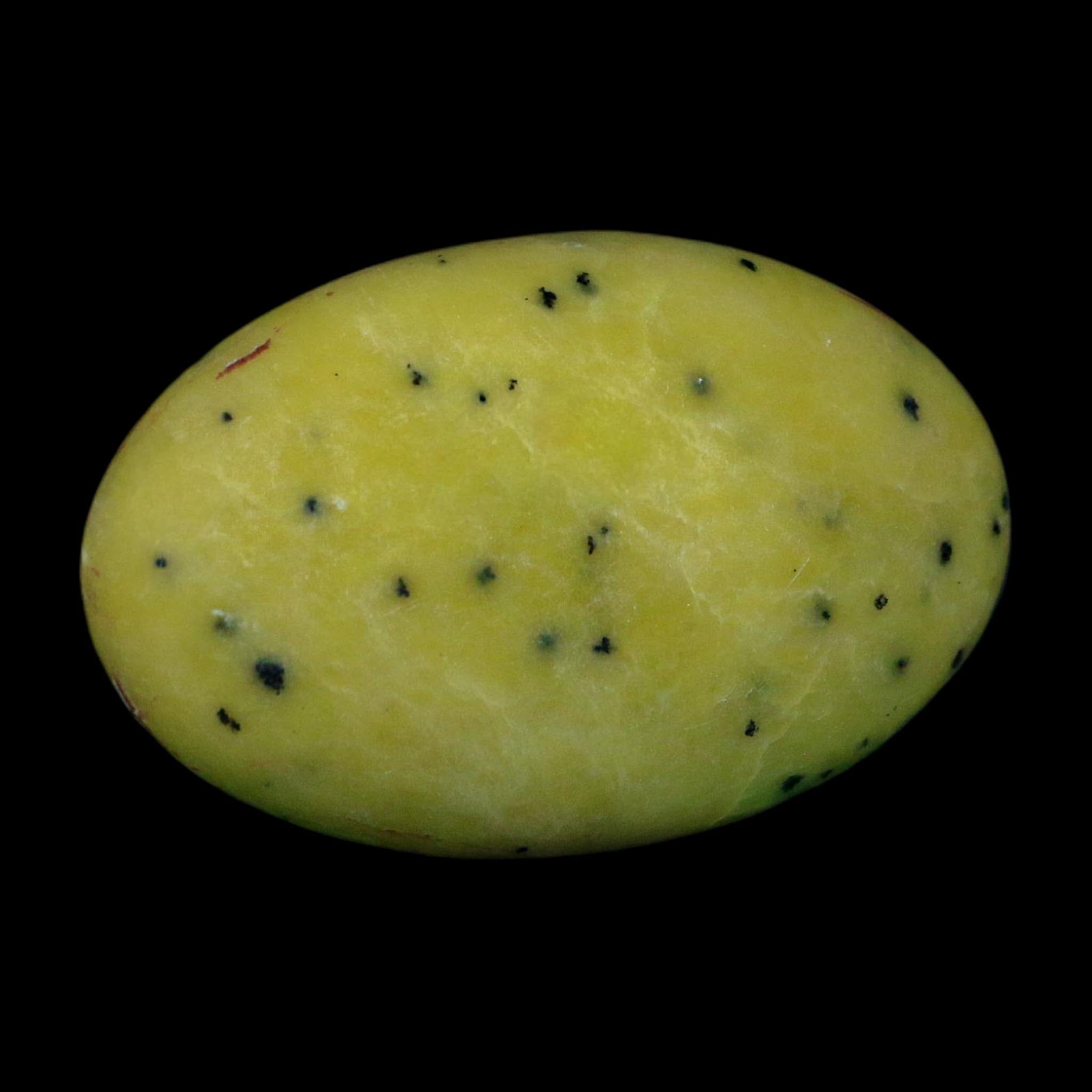 2.4" Natural Polished Serpentine Green And Yellow Palm Stone Mineral Gemstone Pakistan - Fossil Age Minerals