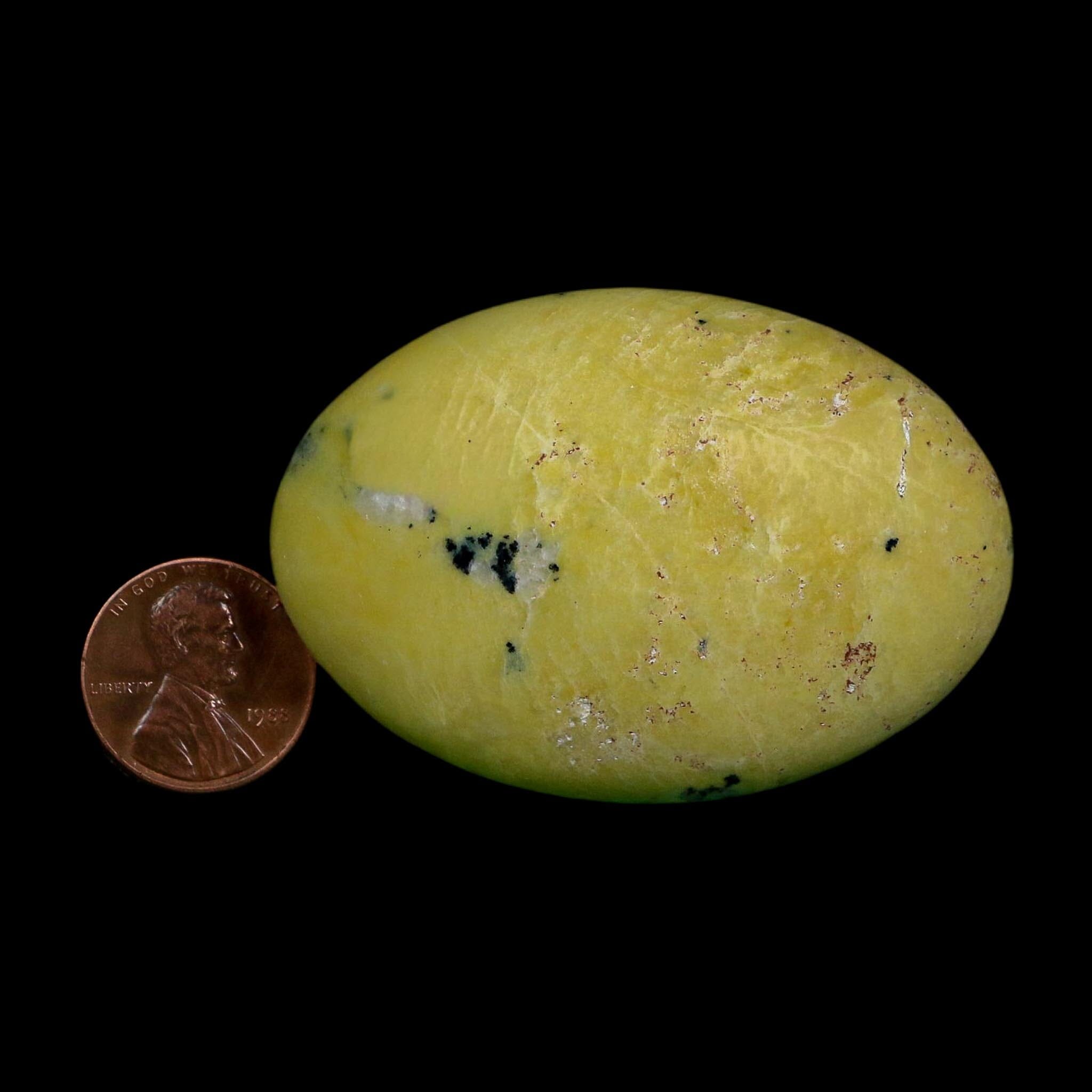 2.3" Natural Polished Serpentine Green And Yellow Palm Stone Mineral Gemstone Pakistan - Fossil Age Minerals