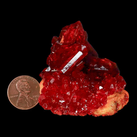 2" Stunning Red Pruskite Yellow Base Crystal Mineral Specimen From Poland - Fossil Age Minerals