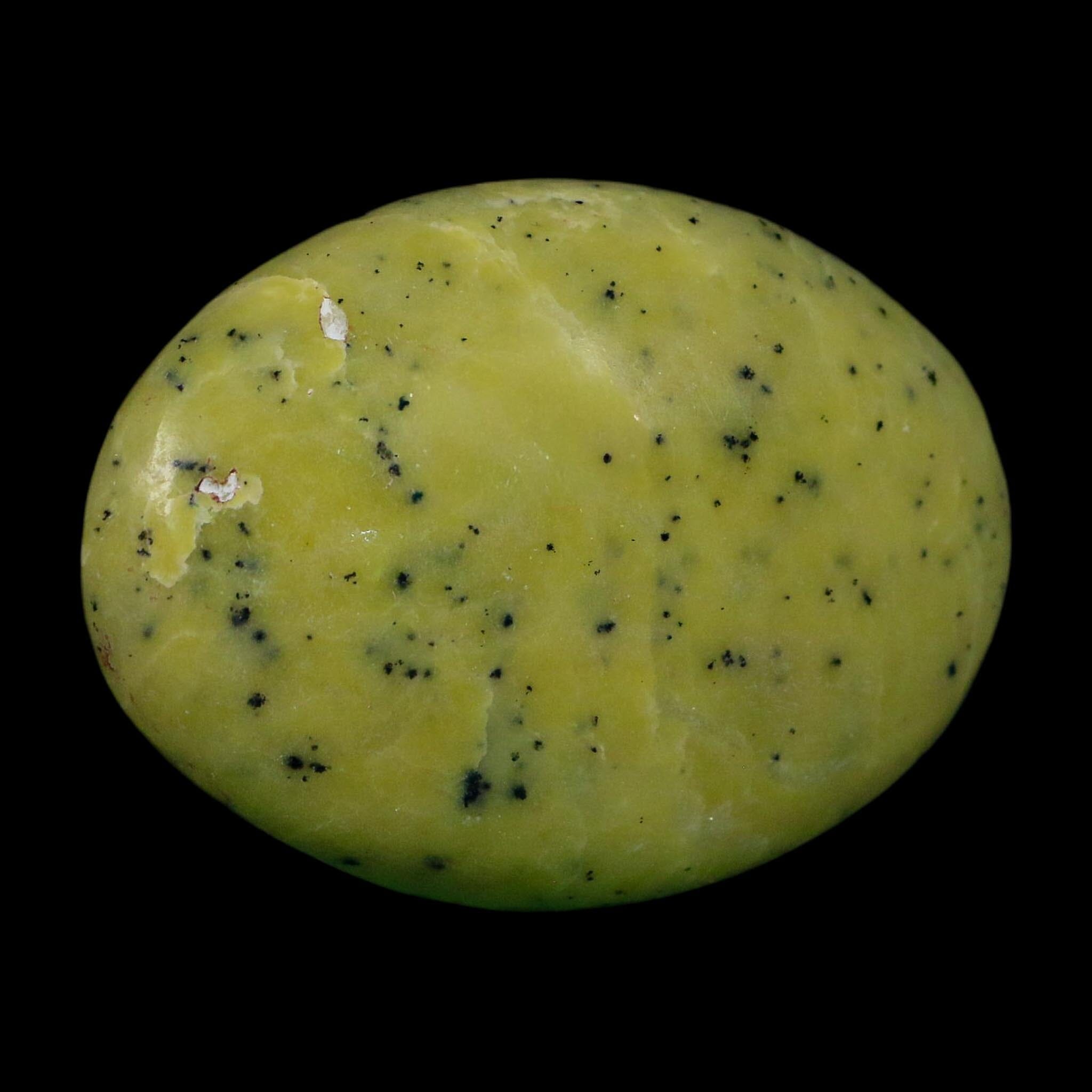 2.5" Natural Polished Serpentine Green And Yellow Palm Stone Mineral Gemstone Pakistan - Fossil Age Minerals