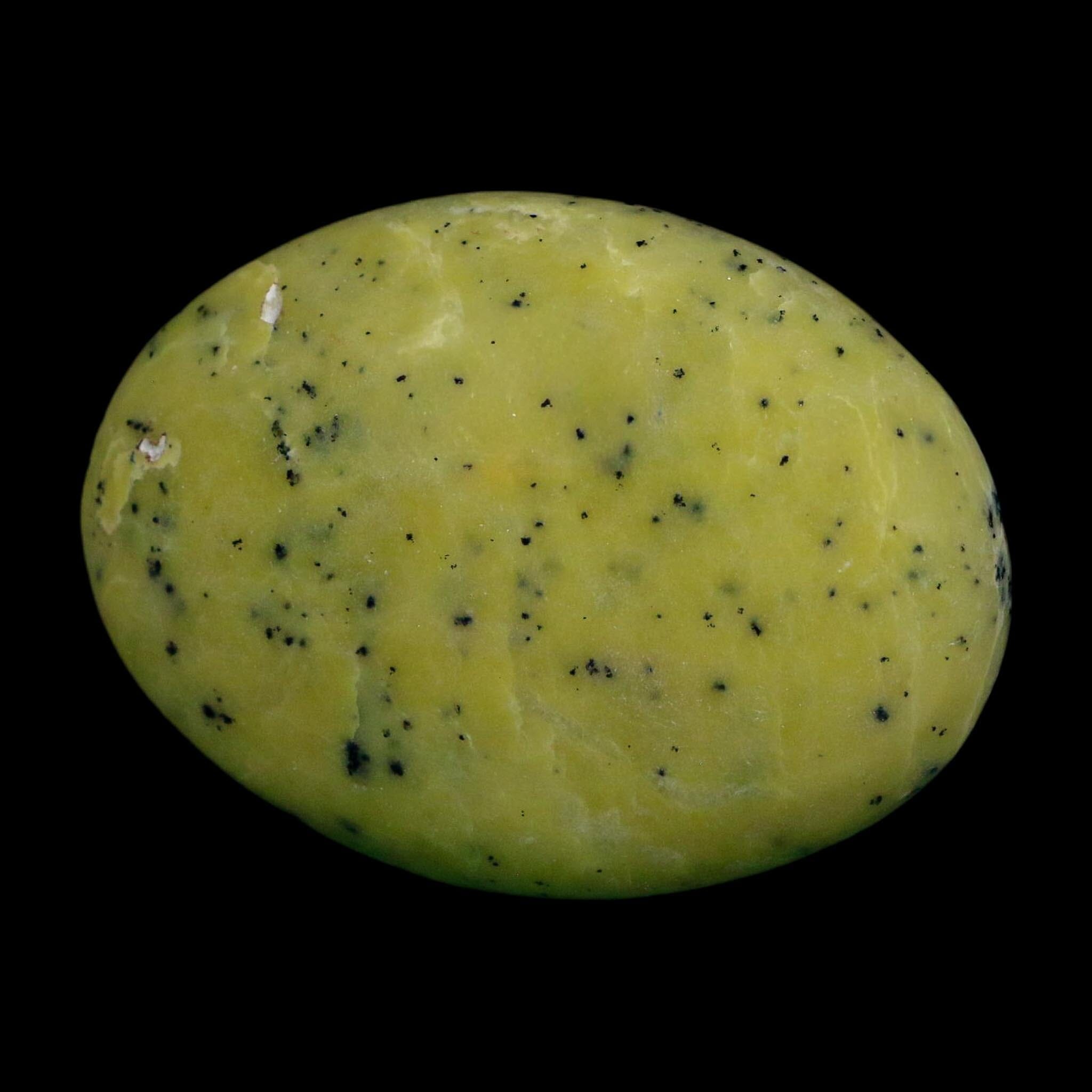 2.5" Natural Polished Serpentine Green And Yellow Palm Stone Mineral Gemstone Pakistan - Fossil Age Minerals