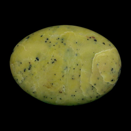2.5" Natural Polished Serpentine Green And Yellow Palm Stone Mineral Gemstone Pakistan