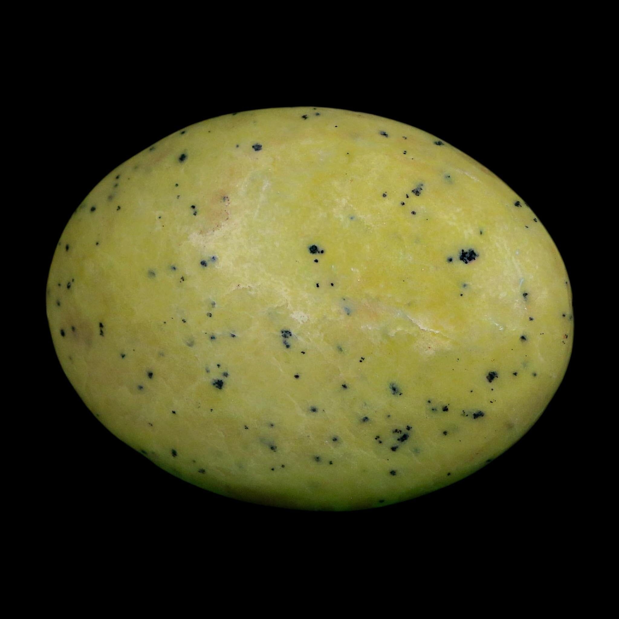 2.9" Natural Polished Serpentine Green And Yellow Palm Stone Mineral Gemstone Pakistan - Fossil Age Minerals