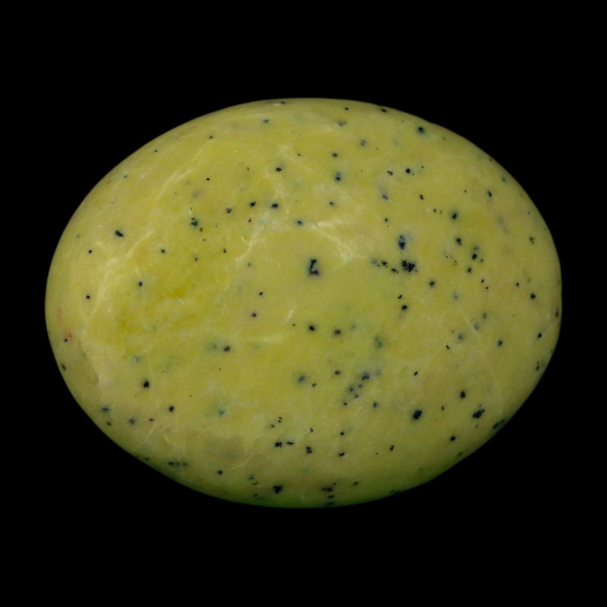 2.9" Natural Polished Serpentine Green And Yellow Palm Stone Mineral Gemstone Pakistan - Fossil Age Minerals