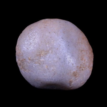 1.1" Sauropod Dinosaur Stomach Stone Gastrolith Rock Gizzard Stone COA