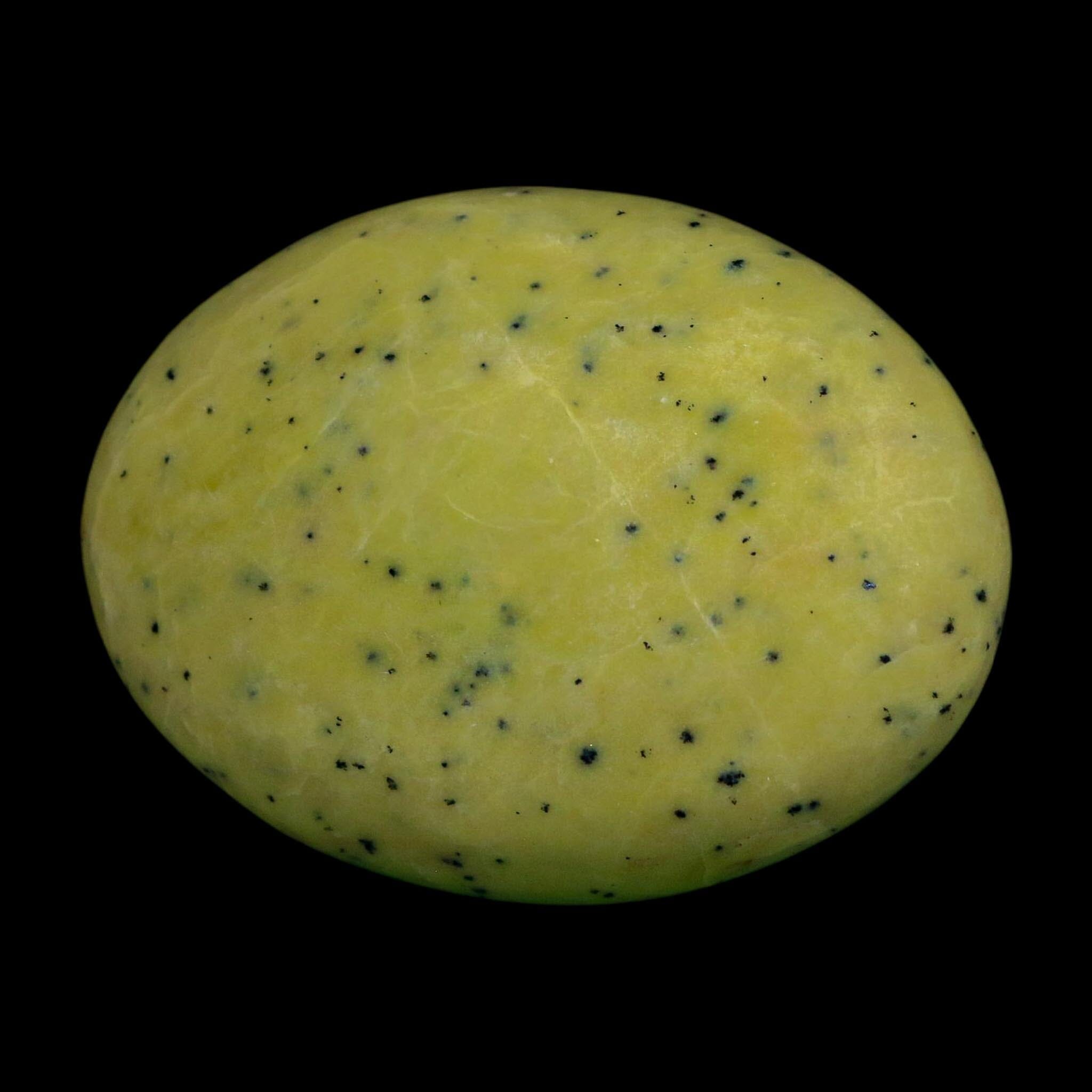 2.9" Natural Polished Serpentine Green And Yellow Palm Stone Mineral Gemstone Pakistan - Fossil Age Minerals