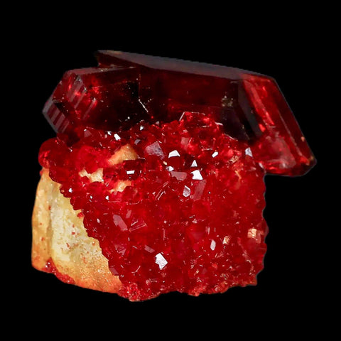 2.3" Stunning Red Pruskite Yellow Base Crystal Mineral Specimen From Poland - Fossil Age Minerals