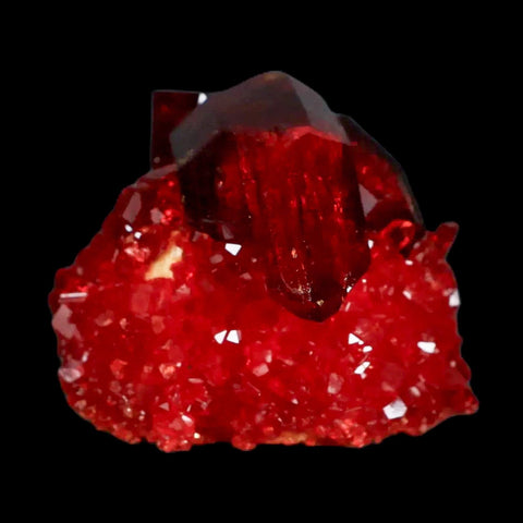 2.3" Stunning Red Pruskite Yellow Base Crystal Mineral Specimen From Poland - Fossil Age Minerals